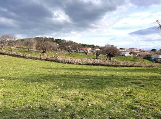 MANİSA AKÇAKÖY MAH SATILIK TARIMA HAZIR TARLA