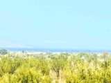 Kuşadası Davutlar’da Taş Kaplama Özel Havuzlu Müstakil Villa
