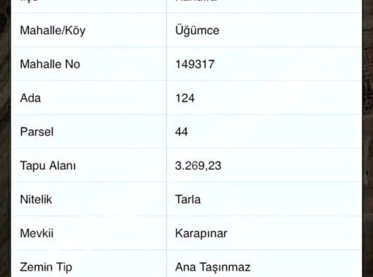 KANDIRA ÜĞÜMCEDE SAHİBİNDEN FINDIKLIK