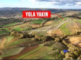 KANDIRA ÜĞÜMCEDE SAHİBİNDEN FINDIKLIK