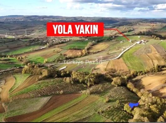 KANDIRA ÜĞÜMCEDE SAHİBİNDEN FINDIKLIK