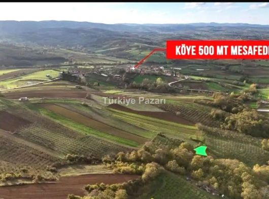KANDIRA ÜĞÜMCEDE SAHİBİNDEN FINDIKLIK