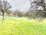 MANİSA DUZYURT MAH 1675 M2 ETRAFI ÇEVRİLİ SATILIK FIRSAT TARLA