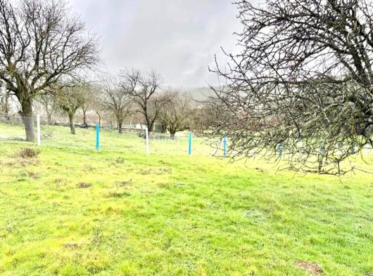 MANİSA DUZYURT MAH 1675 M2 ETRAFI ÇEVRİLİ SATILIK FIRSAT TARLA
