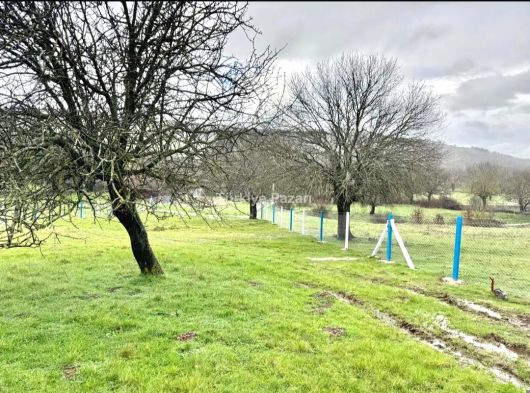 MANİSA DUZYURT MAH 1675 M2 ETRAFI ÇEVRİLİ SATILIK FIRSAT TARLA