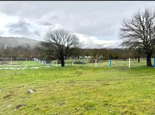 MANİSA DUZYURT MAH 1675 M2 ETRAFI ÇEVRİLİ SATILIK FIRSAT TARLA