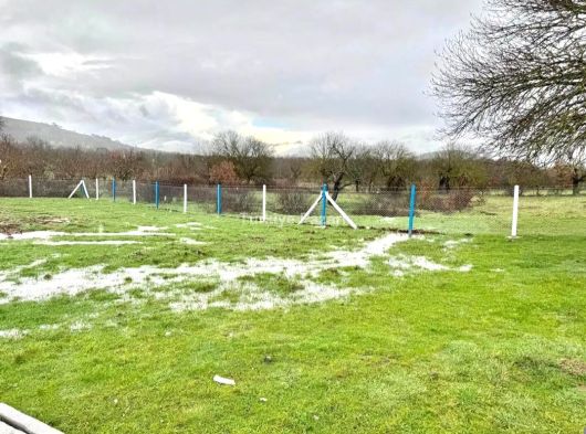 MANİSA DUZYURT MAH 1675 M2 ETRAFI ÇEVRİLİ SATILIK FIRSAT TARLA
