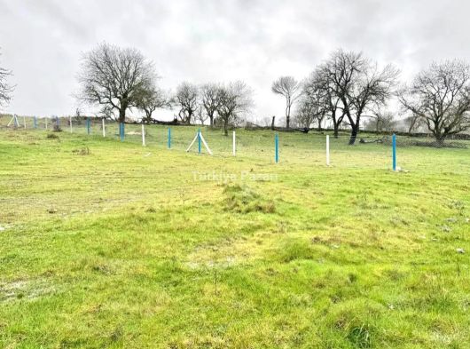 MANİSA DUZYURT MAH 1675 M2 ETRAFI ÇEVRİLİ SATILIK FIRSAT TARLA