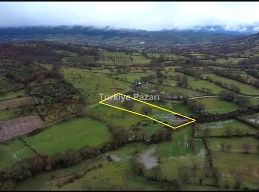 MANİSA DUZYURT MAH 1675 M2 ETRAFI ÇEVRİLİ SATILIK FIRSAT TARLA