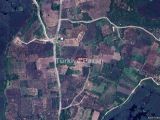 BURSA NİLÜFER GÖLYAZI'DA 1435 M2 TEK TAPU SATILIK FIRSAT ZEYTİNLİK