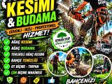 YATILI EV YARDIMCISI ( KADIN)