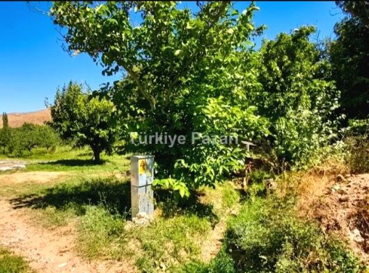 TURASAN EMLAK'DAN | BADEMDERE'DE YOLA SIFIR, ELEKTRİKLİ, 16 DÖNÜM MEYVE