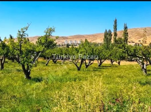 TURASAN EMLAK'DAN | BADEMDERE'DE YOLA SIFIR, ELEKTRİKLİ, 16 DÖNÜM MEYVE