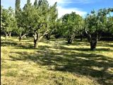 BOR-KEMERHİSAR KAVŞAĞINA YAKIN ÖNÜ AÇIK 660 m2 YATIRIMLIK ARSA