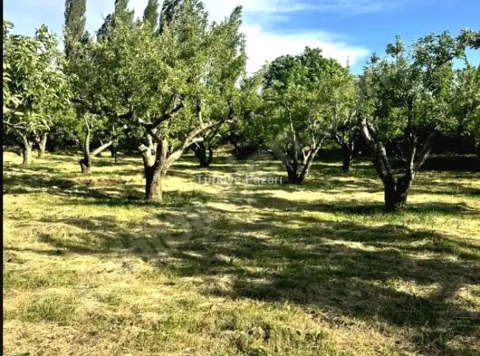 TURASAN EMLAK'DAN | BADEMDERE'DE YOLA SIFIR, ELEKTRİKLİ, 16 DÖNÜM MEYVE