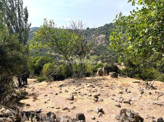 ÇANAKKALE AYVACIK ÇINARPINAR KÖYÜ MÜSTAKİL TAPULU MUAZZAM TARLA 564 M