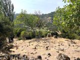 ÇANAKKALE AYVACIK ÇINARPINAR KÖYÜ MÜSTAKİL TAPULU MUAZZAM TARLA 564 M