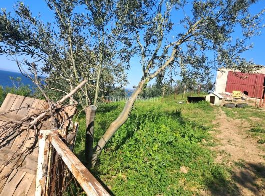 ÇANAKKALE LAPSEKİ ŞEVKETİYE KÖYE YAKIN MÜSTAKİL TAPULU MUAZZAM TARLA 1494 M2