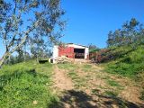 ÇANAKKALE LAPSEKİ ŞEVKETİYE KÖYE YAKIN MÜSTAKİL TAPULU MUAZZAM TARLA 1494 M2