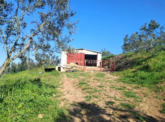 ÇANAKKALE LAPSEKİ ŞEVKETİYE KÖYE YAKIN MÜSTAKİL TAPULU MUAZZAM TARLA 1494 M2