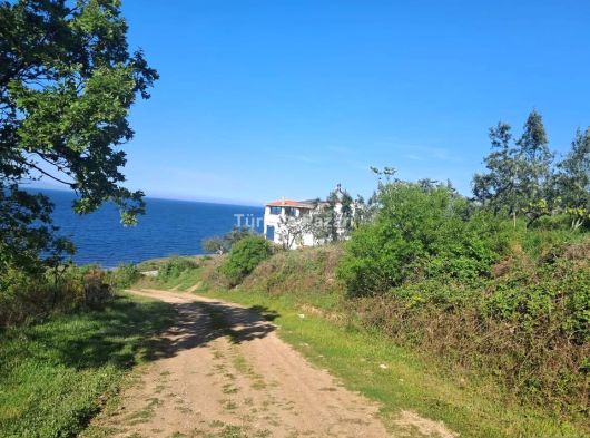 ÇANAKKALE LAPSEKİ ŞEVKETİYE KÖYE YAKIN MÜSTAKİL TAPULU MUAZZAM TARLA 1494 M2