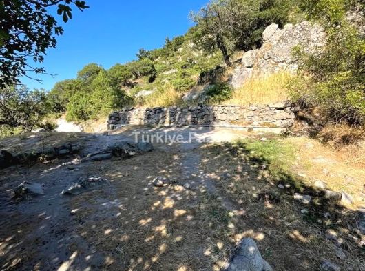 ÇANAKKALE AYVACIK ÇINARPINAR KÖYÜ MÜSTAKİL TAPULU MUAZZAM TARLA 564 M