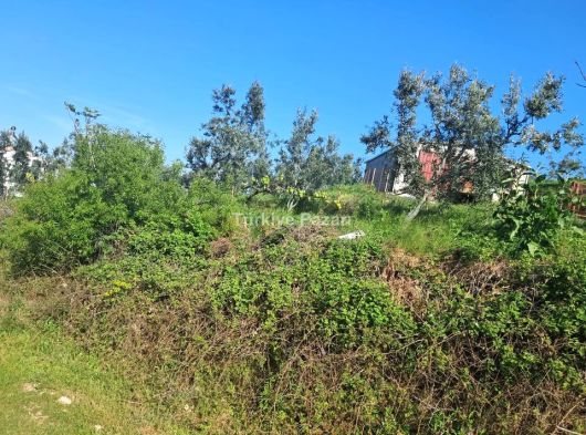 ÇANAKKALE LAPSEKİ ŞEVKETİYE KÖYE YAKIN MÜSTAKİL TAPULU MUAZZAM TARLA 1494 M2