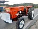 81 model
