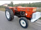 81 model