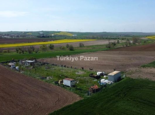 EİDS ONAYLI ÇORLU SARILARDA SATILIK TEK TAPU RESMİ YOLA CEPHE TARLA FIRSAT FİYATA