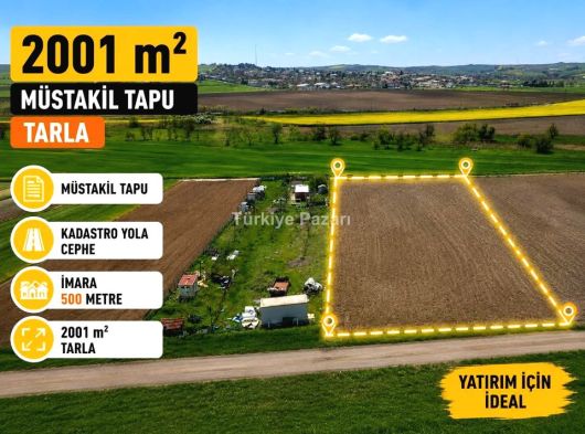 EİDS ONAYLI ÇORLU SARILARDA SATILIK TEK TAPU RESMİ YOLA CEPHE TARLA FIRSAT FİYATA