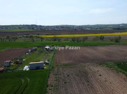 EİDS ONAYLI ÇORLU SARILARDA SATILIK TEK TAPU RESMİ YOLA CEPHE TARLA FIRSAT FİYATA