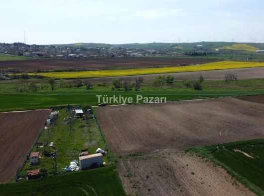EİDS ONAYLI ÇORLU SARILARDA SATILIK TEK TAPU RESMİ YOLA CEPHE TARLA FIRSAT FİYATA