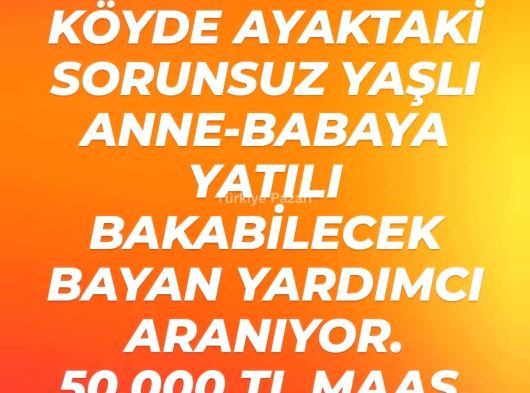 Yatılı bakıcı bayan aranmaktadır