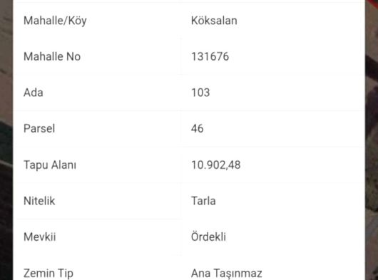 Gaziantep Şehitkamil köysalan mevkisi müstakil tapulu şatışa hazır dönüm fiyatı 575 bin TL