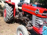 Traktör Massey Ferguson 165