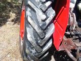 Traktör Massey Ferguson 165