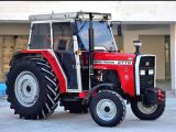 MASSEY FERGUSON 277 G 