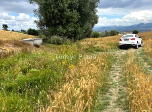 Sahibinden satılık tek tapu tarla