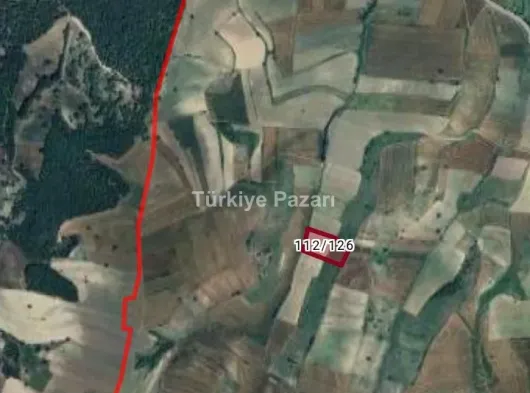 Sahibinden satılık tek tapu tarla
