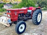 81 model