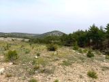 Mersin Silifke Gündüzler 4300m2