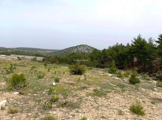 Mersin Silifke Gündüzler 4300m2