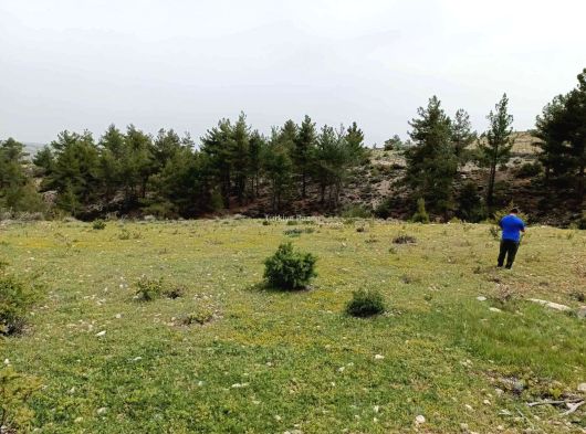 Mersin Silifke Gündüzler 4300m2