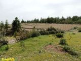 Mersin Silifke Gündüzler 4300m2