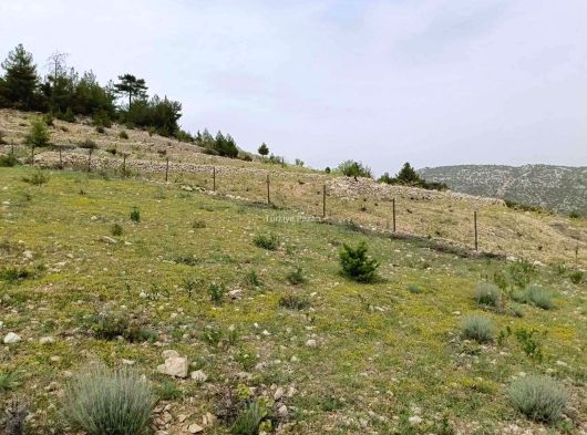 Mersin Silifke Gündüzler 4300m2