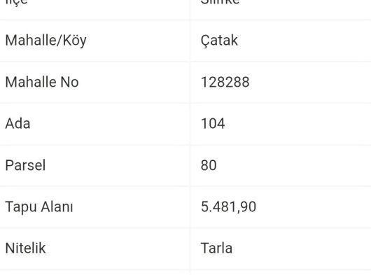 Mersin Silifke Çatak 5481 m2 tek tapu