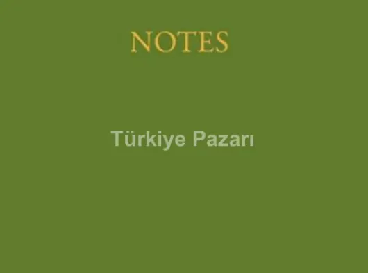 Gümüş Tüylü Payetli Lüks Taşlı Parti Maskesi