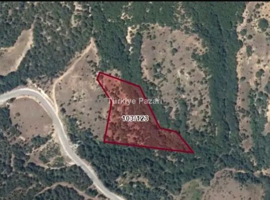 BURSA OSMANGAZİ SEFERIŞIKLAR 11.737 M2 ORMAN CEPHE 4/B KAPSAMINDA TEK TAPU TARLA
