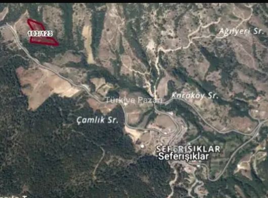BURSA OSMANGAZİ SEFERIŞIKLAR 11.737 M2 ORMAN CEPHE 4/B KAPSAMINDA TEK TAPU TARLA
